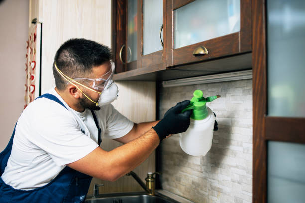 Best Bed Bug Extermination  in Cedarville, OH