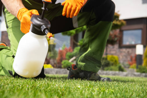 Best Best Pest Control Companies  in Cedarville, OH