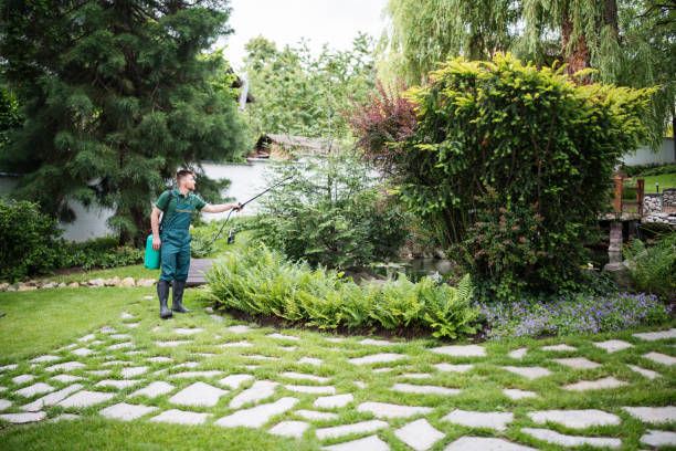 Best Mosquito Control Services  in Cedarville, OH