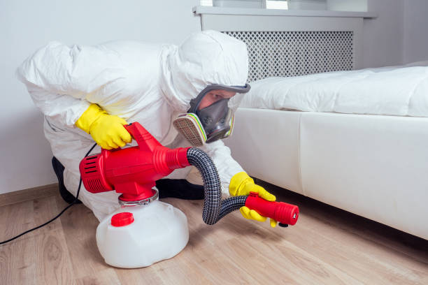 Trusted Cedarville, OH Pest Control Experts