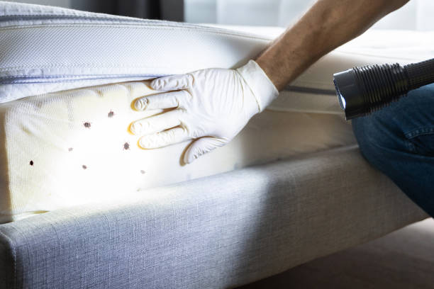 Best Wildlife Control Services  in Cedarville, OH