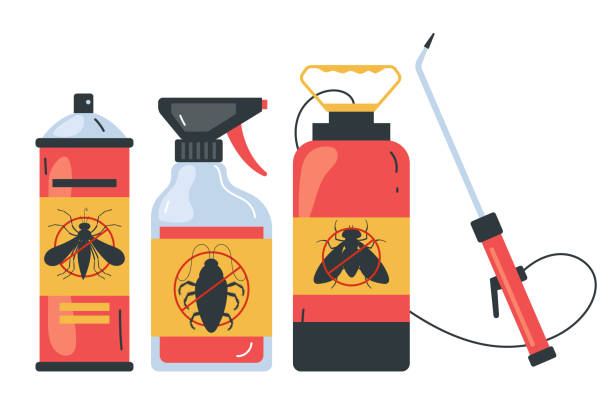 Best Spider Control Near Me  in Cedarville, OH