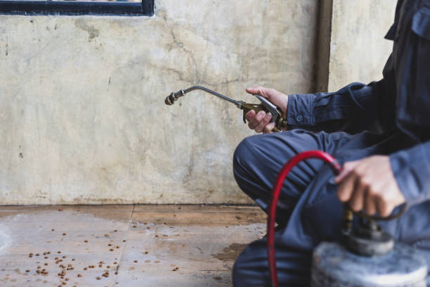 Best Local Pest Control Services  in Cedarville, OH